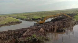 Antisipasi Musim Hujan Pembuatan Tanggul untuk Pencegahan Luapan Air Sungai ke Kebun dan Badan Jalan