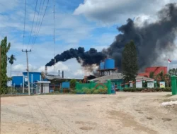 Di Duga Ikan Mati Disenggol Limbah Pabrik PT. Regunas Agri Utama. 