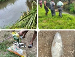 Di Duga Ikan Mati Disenggol Limbah Pabrik.