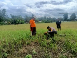 Personil Polsubsektor Pelalawan Lakukan Penanaman Pohon Dalam Mendukung Program Kapolda Riau