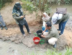 PASCA SUNGAI KATIPO PERANAP TERCEMAR LIMBAH PABRIK ,SEMENTARA DLH INHU BELUM BERIKAN SANGSI TEGAS.