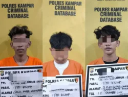 Tiga Pelaku Pengeroyokan Ditangkap Satreskrim Polres Kampar, Begini Kronologisnya.