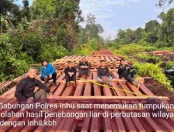 TIM POLRES INHU BERHASIL UNGKAP AKTIFITAS ILEGAL LOGGING.