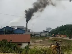 LIMBAH PABRIK PT KAS DIDUGA SENGAJA BUANG KE SUNGAi LANGLAM DESA BATUPAPAN.