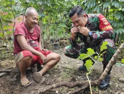Babinsa Tipes Tingkatkan Ketahanan Pangan Melalui Pendampingan Warga