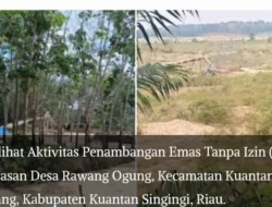 LAPOR PAK KAPOLDA RIAU, DESA RAWANG OGUNG PULUHAN PETI SEPERTI TAK TERSENTUH HUKUM