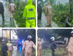 Babinsa, Bhabinkamtibmas dan BPBD Sigap Evakuasi Pohon Tumbang di Jalan Boyolali–Jatinom