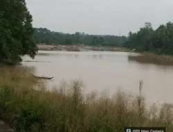 Lapor Kapolda Riau, Aktivitas PETI di Sungai Indragiri Kian Marak, Warga Desak APH Bertindak Tegas.