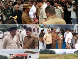 Panen Raya Padi dan Pelantikan DPD HKTI Riau Tegaskan Komitmen Bangun Pertanian Berkelanjutan.