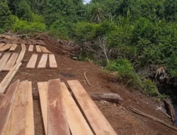 Desa Rantau Bakung Inhu, Jadi Tempat Keluar Kayu dari Kawasan Hutan Lindung.