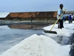 Tidak membayar 5 truck Garam Madi Babulu akan Segera di Polisikan