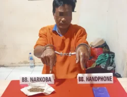 Satresnarkoba Polres Kampar Tangkap Pemakai Daun Ganja Kering di Salo