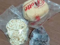Gawat !..Menu MBG Tembilahan Semakin Miris – Makanan Kering Tidak Sesuai Standar , Dinkes dan Dinas Pendidikan Diminta Turun Tangan