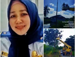 Respon Kilat! Dishub Kampar Pasang 5 Unit Lampu PJU di Sipungguk Hanya Setengah Hari.