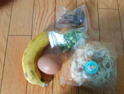 Menu MBG Diduga Asal-Asalan Banyak Siswa Kecewa Dengan Menu Yang di Sajikan