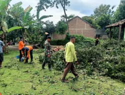 Angin Kencang Robohkan Pohon, Rumah Warga Kejayan Rusak — Respons Cepat Babinsa dan BPBD Cegah Dampak Lebih Besar