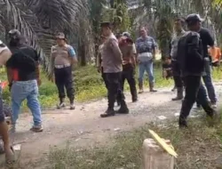 Tim Pengamanan Agrinas Diusir Pakai Sajam Saat Jalankan Tugas di Lahan Perkebunan Sitaan PKH