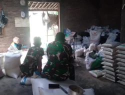 Babinsa Karanggede Turun Cek Pupuk Subsidi, Pastikan Stok Aman dan Harga Tetap Terjangkau