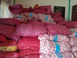 Balai Karantina dan Aparat Perkuat Sinergi, Pemusnahan Barang Masih Menunggu Arahan Pusat.