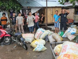 Polres Asahan Diduga Tak Mampu Tekan Aksi Pencurian Sawit, Kerugian Ratusan Juta, Jaringan Penadah Diduga Masih Bebas Beroperasi