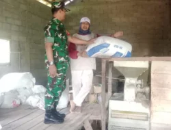 Pastikan Stok Beras Aman dan Ketahanan Pangan Terjaga, Ini Yang Dilakukan Babinsa Koramil 04/Nguntoronadi
