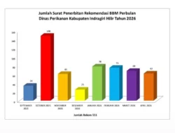Dinas Perikanan Inhil Sudah Keluarkan 551 Rekomedasi Aplikasi XSTAR untuk Nelayan, Dorong Subsidi BBM Tepat Sasaran