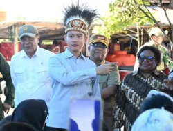 Dampingi Wapres Gibran ke Tanah Papua, Wamendagri Ribka Beberkan Progres Signifikan Pembangunan DOB. 