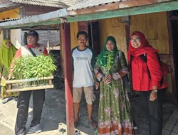 PDI Perjuangan Lamongan Hidupkan Semangat Kartini Lewat Aksi Nyata: Perempuan Jadi Garda Depan Ketahanan Pangan Keluarga. 