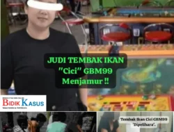 Judi Tembak Ikan Cici GBM99 ‘Dipelihara’ Menjamur di Belawan, Warga Resah – Aparat Dinilai Tutup Mata