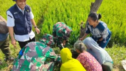 500 Pohon Buah Ditanam TMMD Kodim 0725/Sragen untuk Masa Depan Desa