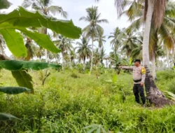 Polsek Tembilahan Hulu Cek Kesiapan Lahan Jagung di Desa Pekan Kamis, Dukung Swasembada Pangan Nasional