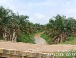 Dukung APH: Ketua Dewan Pengawas Irwansyah Kawal Ketat Pelanggaran DAS di Kampar.