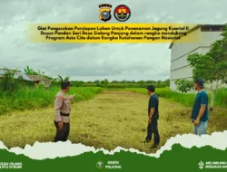 Dukung Ketahanan Pangan , Polsek Tembilahan Hulu Cek Kesiapan Lahan Jagung Kuartal II di Desa Pulau Palas.