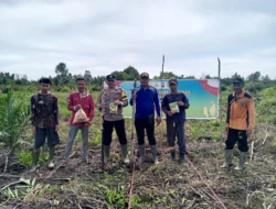 Dukung Swasembada Pangan dan Asta Cita Presiden, Polsek Reteh dan BUMDes Sumber Utama Gelar Penanaman Jagung Serentak