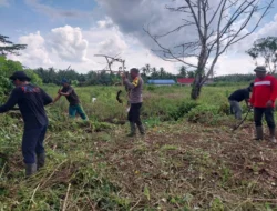 Pangan 2026, Polsek Reteh dan Bumdes “RAJA MUD” Cek Kesiapan Lahan Jagung di Desa Sungai Mahang