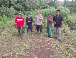 Pangan 2026, Polsek Reteh dan Bumdes “RAJA MUD” Cek Kesiapan Lahan Jagung di Desa Sungai Mahang
