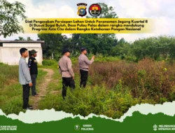 Dukung Ketahanan Pangan, Polsek Tembilahan Hulu Cek Kesiapan Lahan Jagung Kuartal II di Desa Pulau Palas