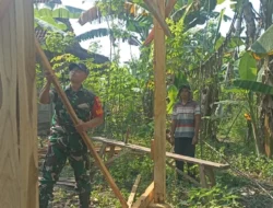 Semangat Gotong Royong, Babinsa Juwangi Bantu Warga Bangun Pondok Kebun