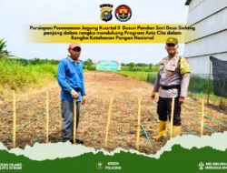 Dukung Ketahanan Pangan , Polsek Tembilahan Hulu Cek Kesiapan Lahan Jagung di Desa Sialang Panjang .