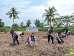 Dukung Asta Cita Presiden, Polsek Tembilahan Hulu Gelar Aksi Tanam Jagung Serentak di Desa Pulau Palas