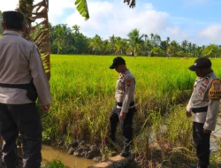 Polsek Sungai Batang Cek Irigasi Persawahan, Pastikan Air Cukup untuk Ketahanan Pangan Padi