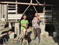 Bhabinkamtibmas Polsek Kelayang Sambangi Peternakan Kambing Warga, Dukung Ketahanan Pangan Nasional