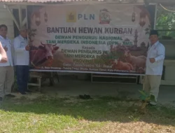 Tani Merdeka Indonesia Wilayah Riau Sumbang 1 Ekor Sapi Kepada Masjid Ash Shomad