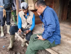 Kebun Negara Diduga Dijarah, Mitra PT Agrinas Palma Nusantara Tempuh Jalur Hukum
