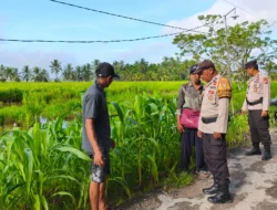 Polsek Sungai Batang Aktif Dampingi Warga, Dukung Swasembada Ketahanan Pangan di Kecamatan Sungai Batang