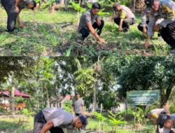 Mendukung Program Asta Cita, Dalam Rangka Ketahanan Pangan Nasional Program Holtikultura Tanaman Jagung di Polsek Tembilahan Hulu.