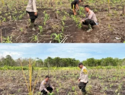 Polsek Mandah ,Polres Inhil Siap Mendukung Program Asta Cita Presiden Republik Indonesia Melalui Ketahanan Pangan.
