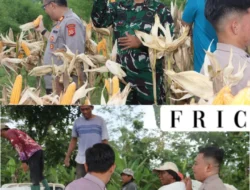 Panen Raya Jagung Serentak 2026, Polres Kuningan Perkuat Ketahanan Pangan dan Dukung Visi Swasembada Nasional
