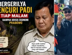 Prof Dr Sutan Nasomal Penanggungjawab Timpas1 Dampak Krisis Ekonomi Dari Lemahnya Rupiah Padi Digasak Pencuri Tiap Malam. Presiden RI Prabowo Diharapkan Mampu Menolong Masyarakat Sragen Jawa Tengah!!!