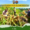 Gelar Penanaman Jagung Serentak di Desa Pulau Palas demi Dukung Swasembada Pangan